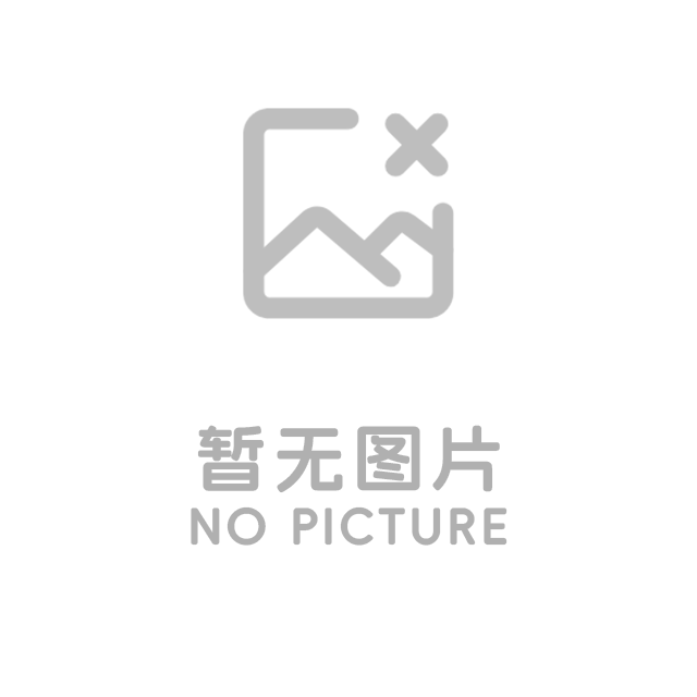软件外包服务